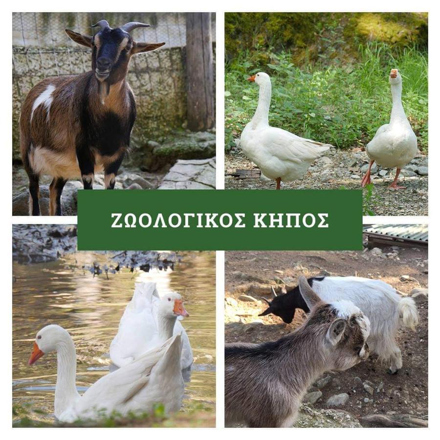Στουντιο Κοντά Στην Κλινική Αγ Λουκα Tessalónica Exterior foto