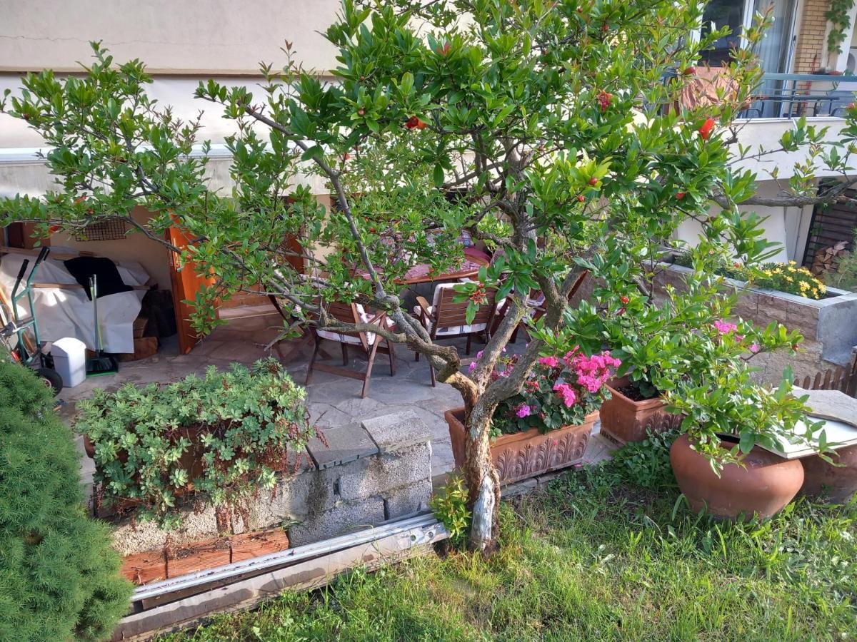 Στουντιο Κοντά Στην Κλινική Αγ Λουκα Tessalónica Exterior foto